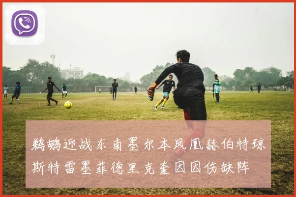 鹈鹕迎战东南墨尔本凤凰赫伯特琼斯特雷墨菲德里克奎因因伤缺阵