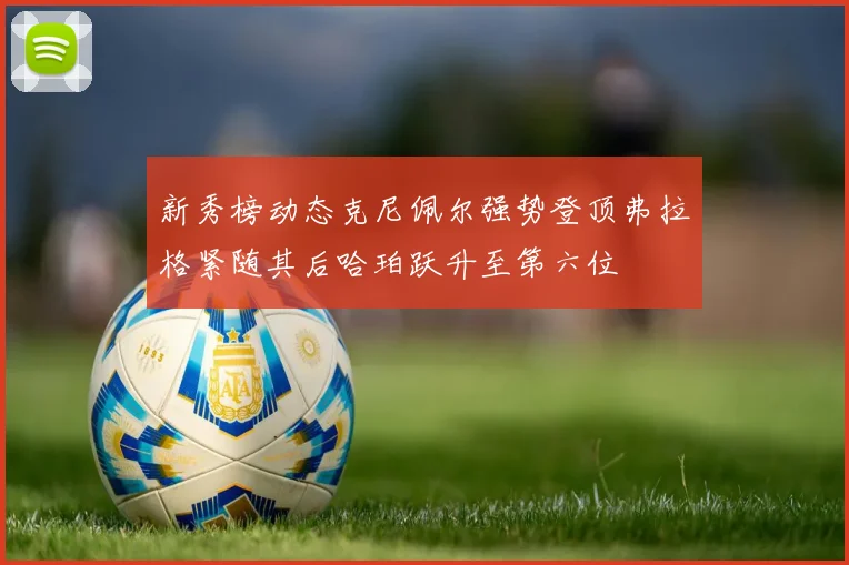 新秀榜动态克尼佩尔强势登顶弗拉格紧随其后哈珀跃升至第六位