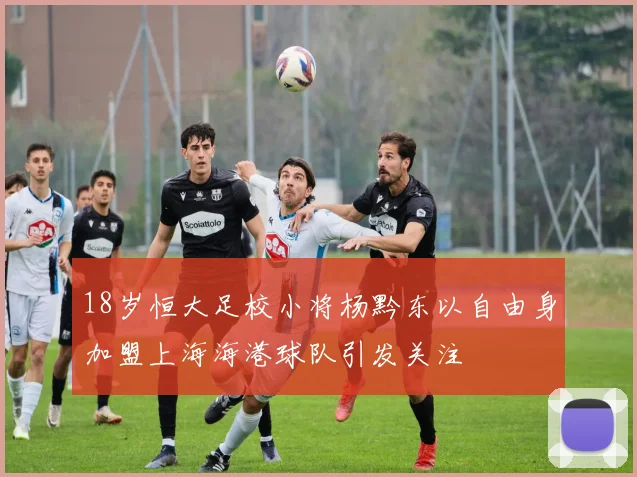 18岁恒大足校小将杨黔东以自由身加盟上海海港球队引发关注