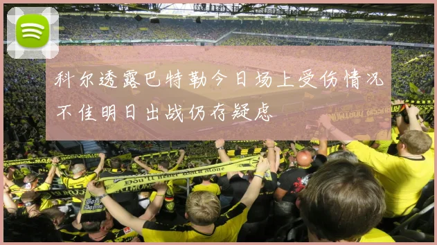 科尔透露巴特勒今日场上受伤情况不佳明日出战仍存疑虑