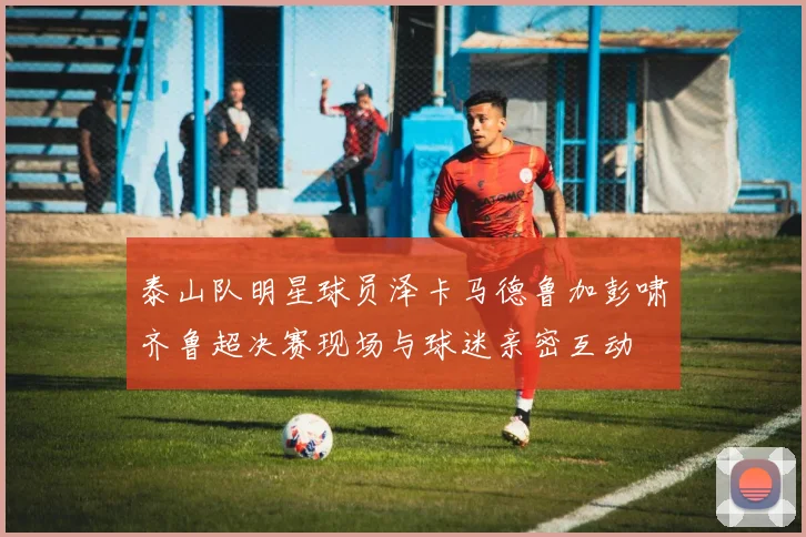 泰山队明星球员泽卡马德鲁加彭啸齐鲁超决赛现场与球迷亲密互动